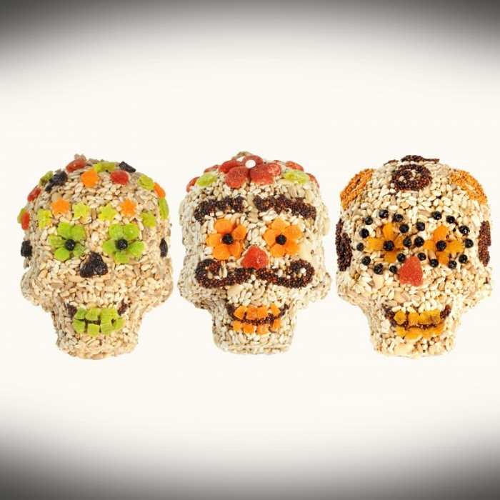 Seed Skulls Set of 3